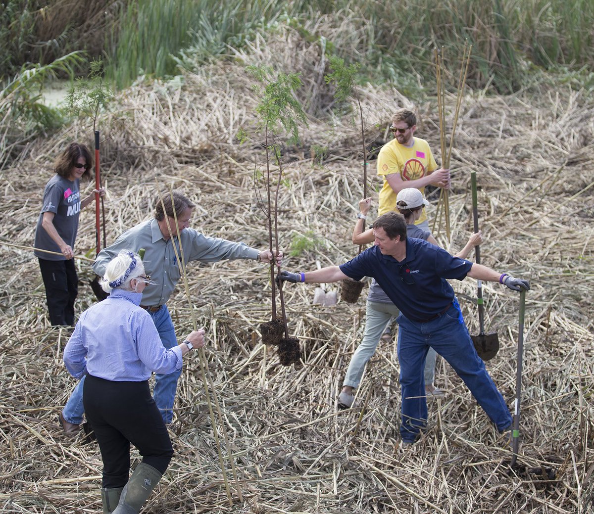 REF_Restores's tweet image. Collaborating on #climate – how #business leaders can #ActOnClimate post US #ParisAgreement decision bit.ly/2tu518c @USBCSD #impinv