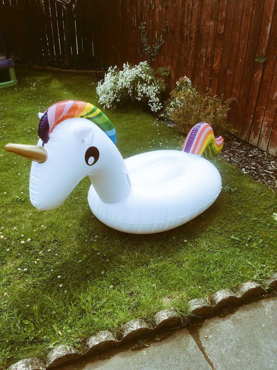 RFrank_92's tweet photo. When it's pay day and you start buying unnecessary stuff🦄😎 #poolswan #donthaveapool https://t.co/WwYEEhwOOw