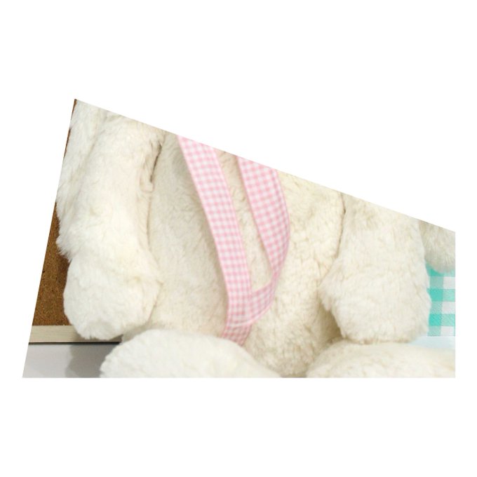 Ver imagen en Twitter