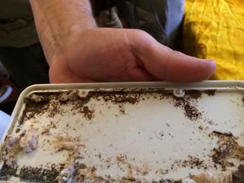 andresudrie's tweet photo. A Berre-les-Alpes, une entreprise certifiée @CTBAplus intervient pour lutter contre les #termites https://t.co/BgzWEqqjRO