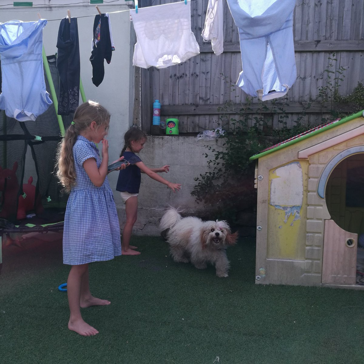 TillyBoo_APD's tweet photo. #teamTilly #teamRiko bubble busting https://t.co/UJ12Q6X5MJ
