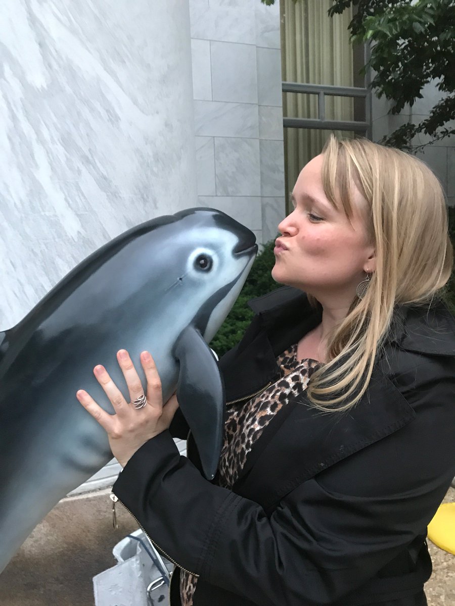 sawyatt's tweet photo. Showing my love for the Critically Endangered vaquita on #InternationalKissingDay #Mexico #conservationlove
https://t.co/a4zrfYhbkN https://t.co/70lRPVd3nd