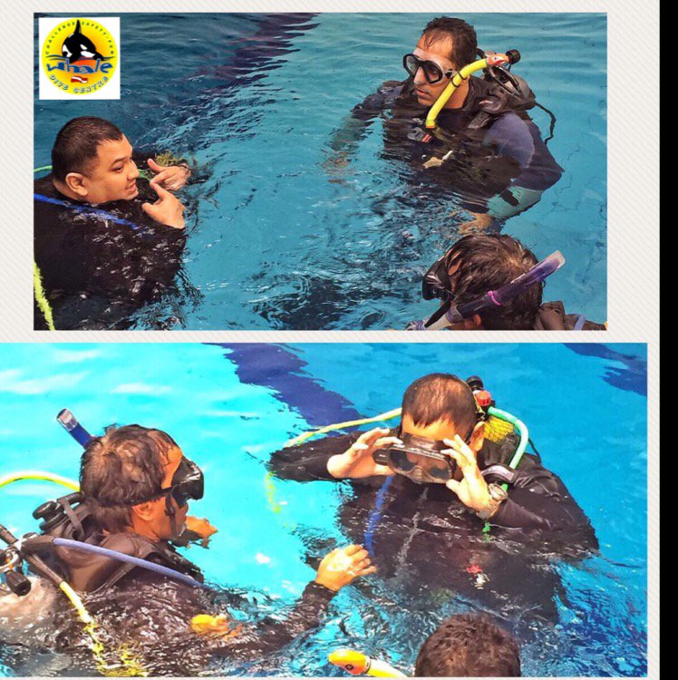 whaledivecentre's tweet photo. Pool session Scuba Diving Course ....
#scuba #scubadiving #scubadivingcourse #naui #nauiworldwide ... https://t.co/VDT2Peh3EP https://t.co/CPsgorTWjX