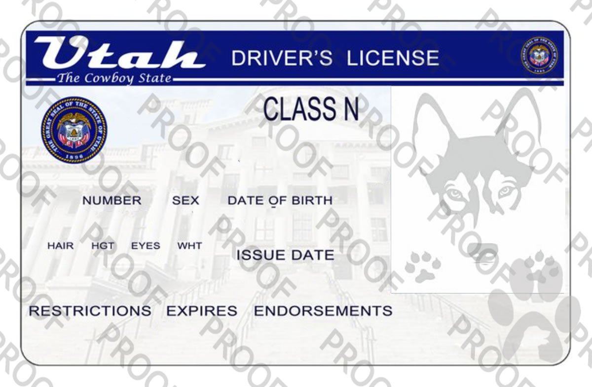petsidcenter's tweet photo. #petsidtag Utah Pet ID TAG https://t.co/5kHif0A6tu https://t.co/nT7BZrFCMe