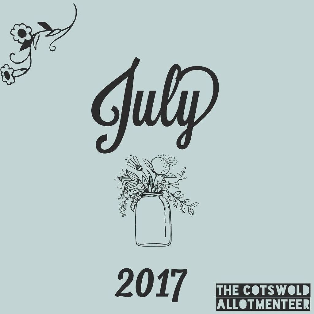CotswoldAllotmenteer tweet media