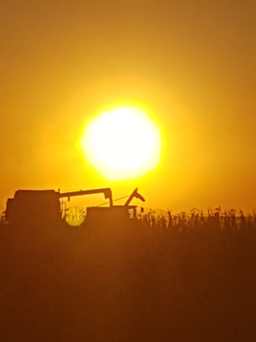 cbdemilo's tweet image. 