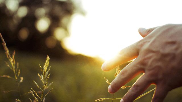 Halfway. I just finished day 183 of the <a href="/YouVersion/">YouVersion Bible App</a> plan 'Chronological'. Check it out here: bible.com/r/5