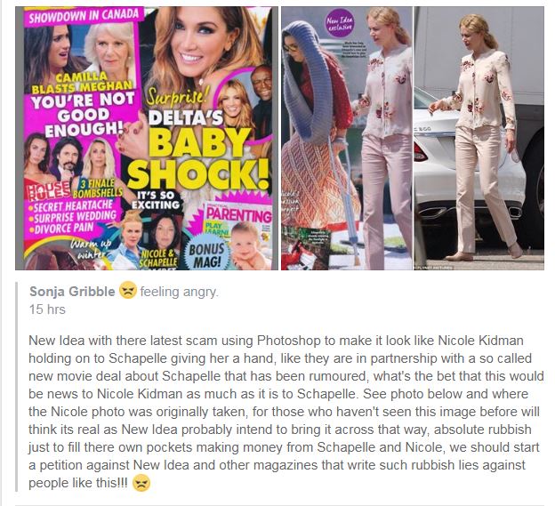 truthoverlies13's tweet photo. @NewIdeamagazine Photo shopping #SchapelleCorby into #NicoleKidman's picture to make your story look credible #FakeNews #LiesForProfit https://t.co/yUzXMdXXyK