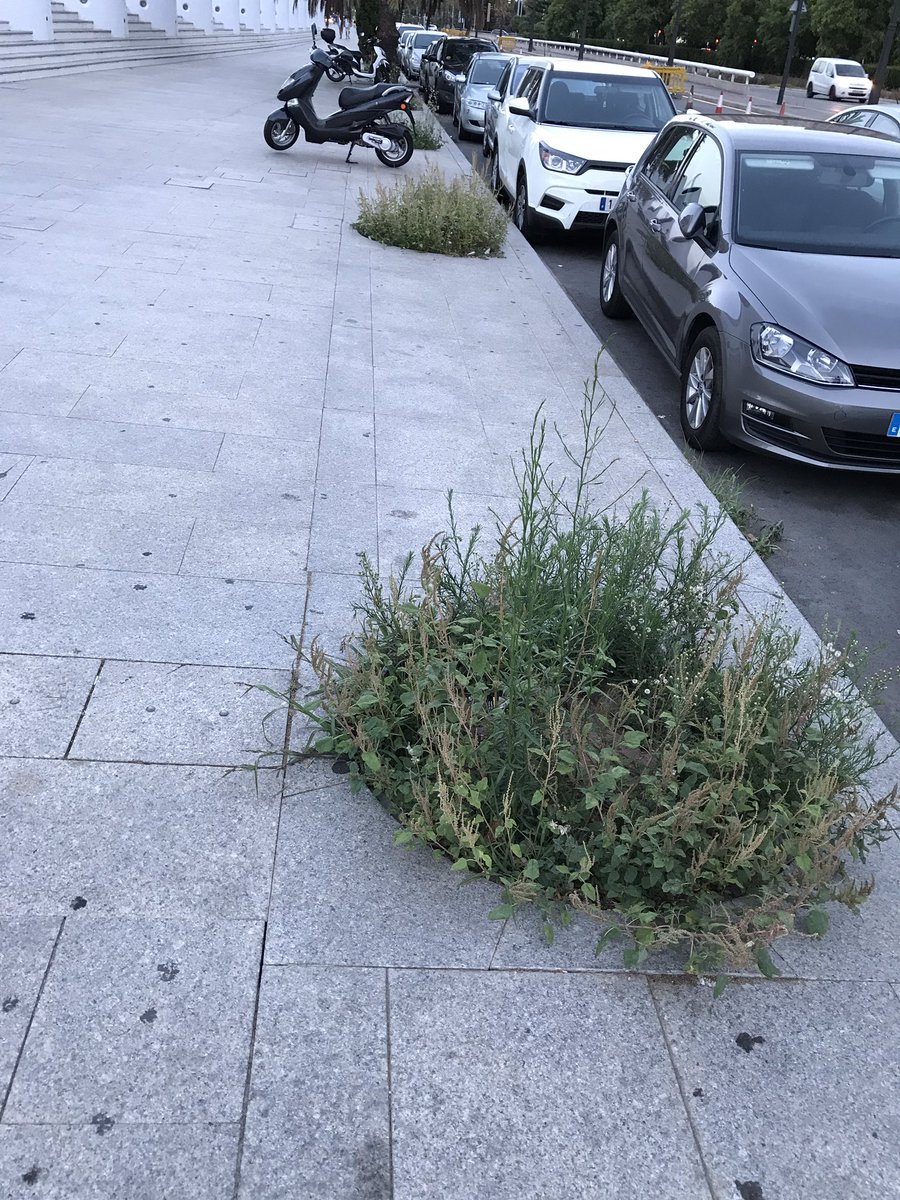 #ValenciaEscucha tweet media