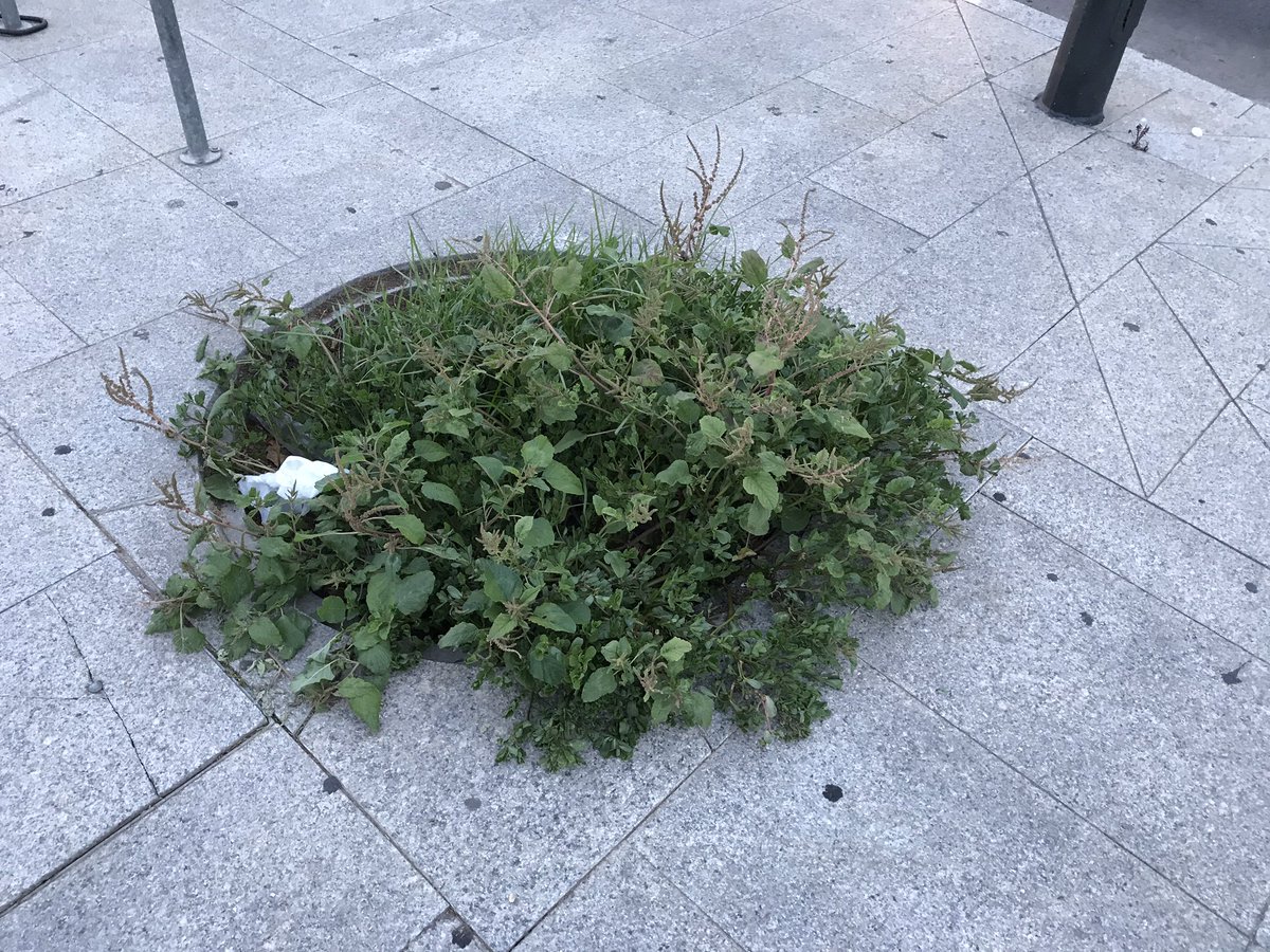 #ValenciaEscucha tweet media