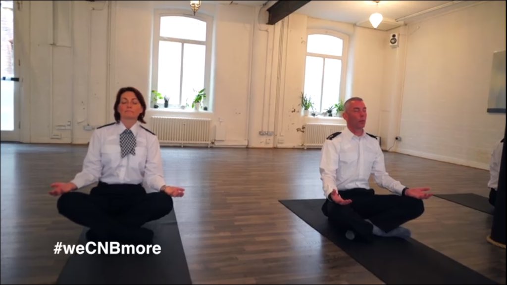 CQTrust's tweet image. Biodiversity! Interconnectivity! Cops 'n' Yoga! It's the first film in our #weCNBmore campaign... Check it out...  facebook.com/CultureNightBe…