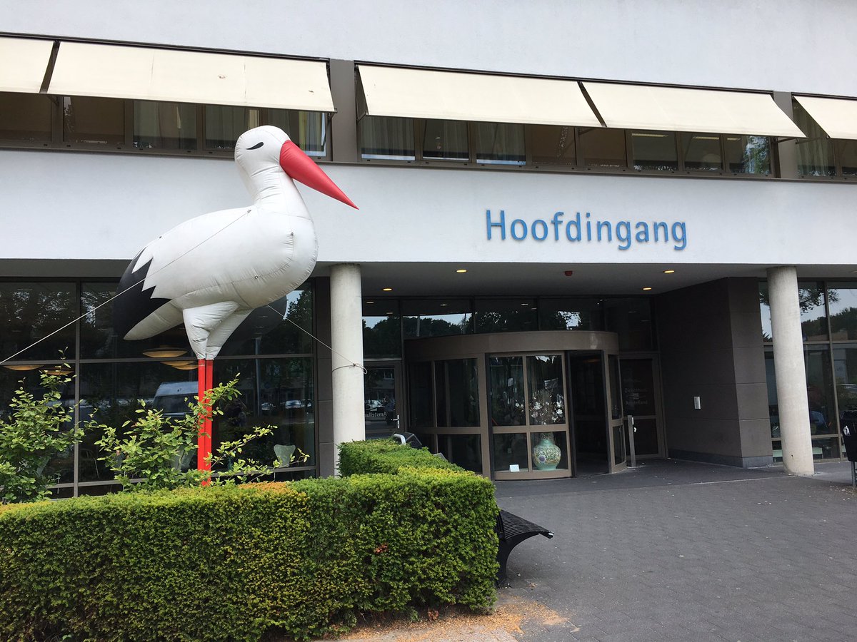 De ooievaar staat vandaag bij ziekenhuis Amstelland in Amstelveen ter ere van de opening van een nieuwe afdeling!