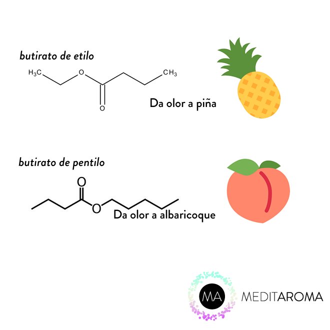 O Butanoato De Etila é Um Liquido Incolor