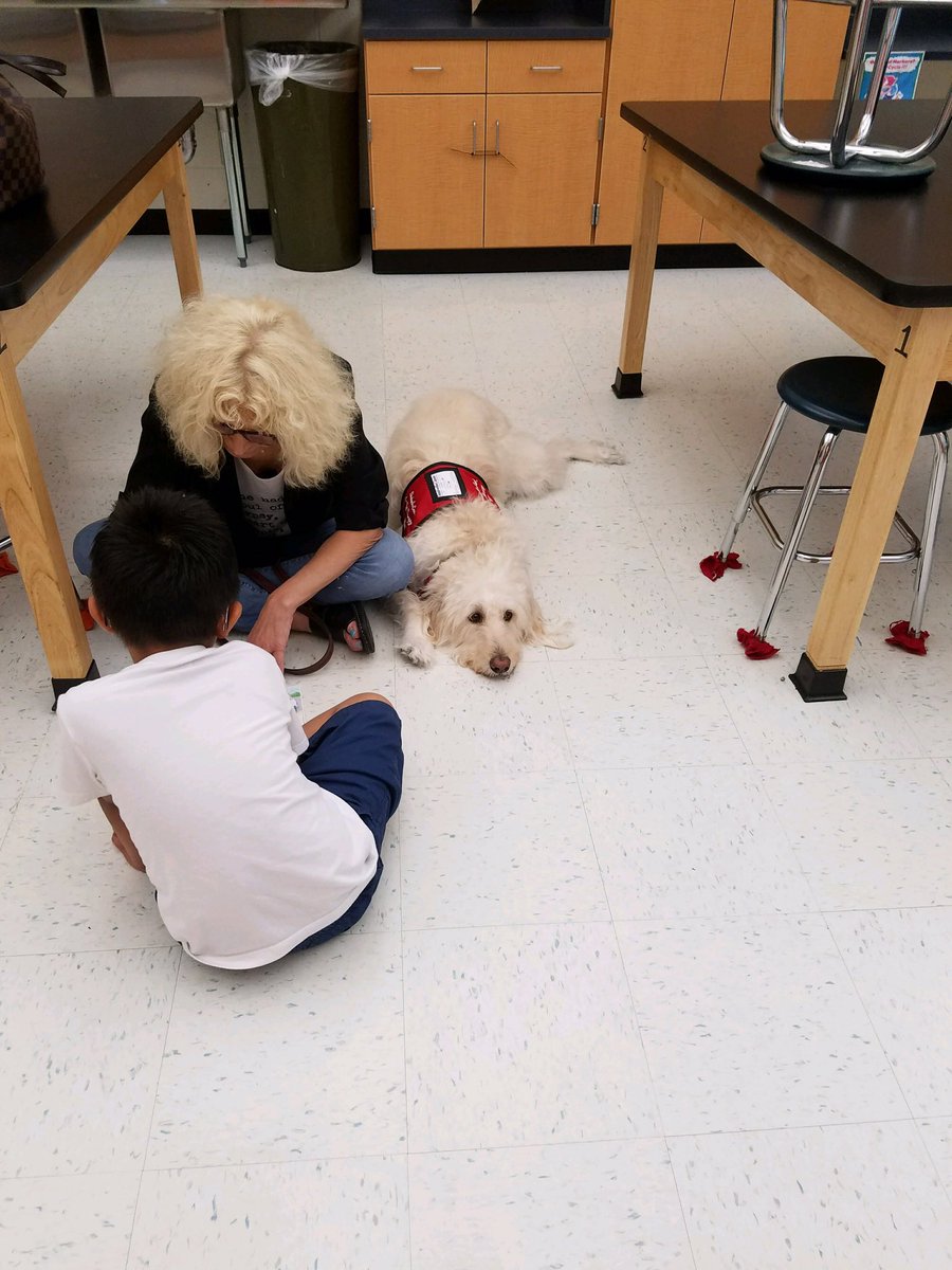 LARanieri12's tweet photo. Dog Days of Summer at Jump Start! Therapy dogs visit the children https://t.co/WzgJduaXUY