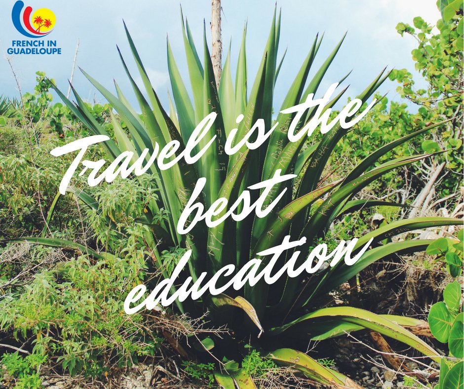 imlclanguages's tweet image. #ThursdayThoughts Travel is the best education, discover the Carribean culture with us #learnfrench #FrenchInGuadeloupe