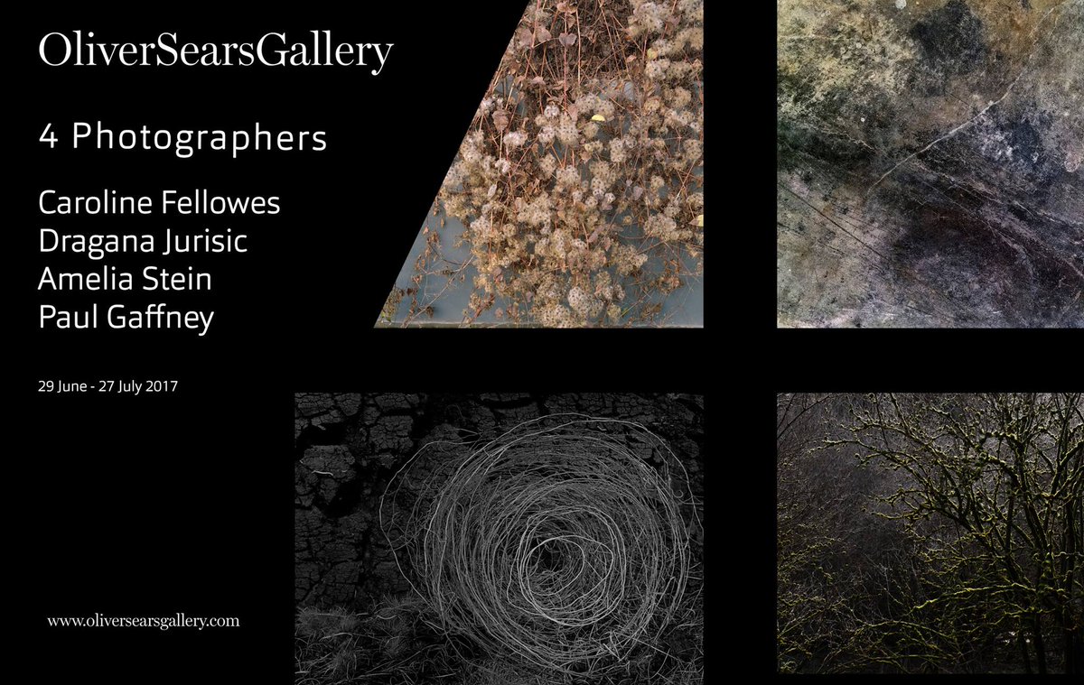 What's On This Week?
"4 PHOTOGRAPHERS"
 <a href="/osearsgallery/">OliverSearsGallery</a> Caroline Fellowes <a href="/ohmadelaine/">Dragana Jurišić</a> <a href="/SteinAmelia/">Amelia Stein</a>  <a href="/pgaffneyphoto/">Paul Gaffney</a> 
ow.ly/qm7K30d8QUY