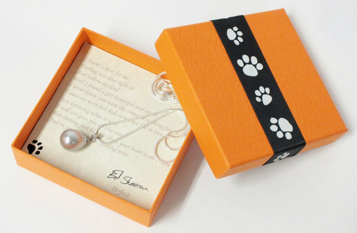 St Elizabeth Hospice tweet media