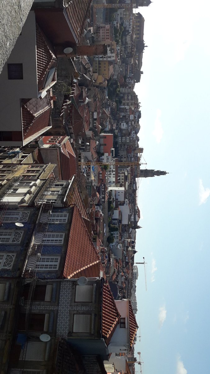 miglg17's tweet photo. Solo si sabes perderte y dejar que el Sol te apague sabes vivir y ser tu. https://t.co/w2CqPkB670