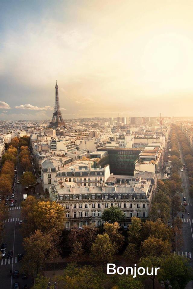 franasgo's tweet image. GOOD MORNING       BOM DIA