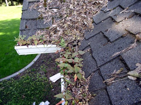It might be time to check your gutters aren’t too full after April showers or it could lead to damp or mould. burngreavebuilding.co.uk/roofers-sheffi…