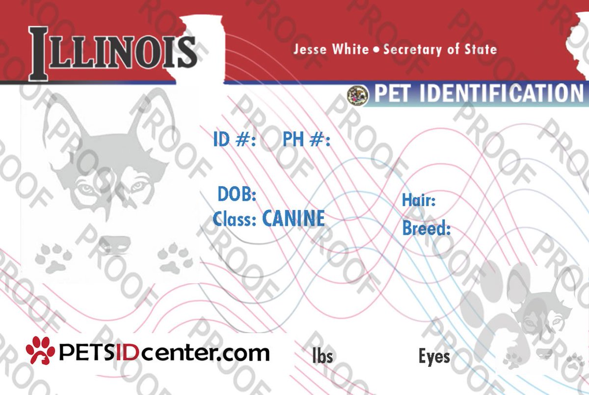 petsidcenter's tweet photo. #petsidtag Illinois Pet ID TAG https://t.co/fz8McMZtzk https://t.co/Pj94oLu1Hr