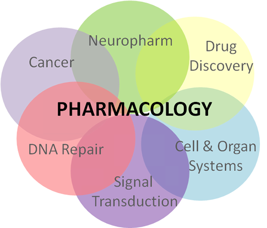 Ethnopharma's tweet photo. #Ethnopharmacology #Pharmacology #Toxicology #Immunopharmacology talk @ Ethnophamacology 2017 conference at Vienn, Austria. https://t.co/Udn6w7OeG4