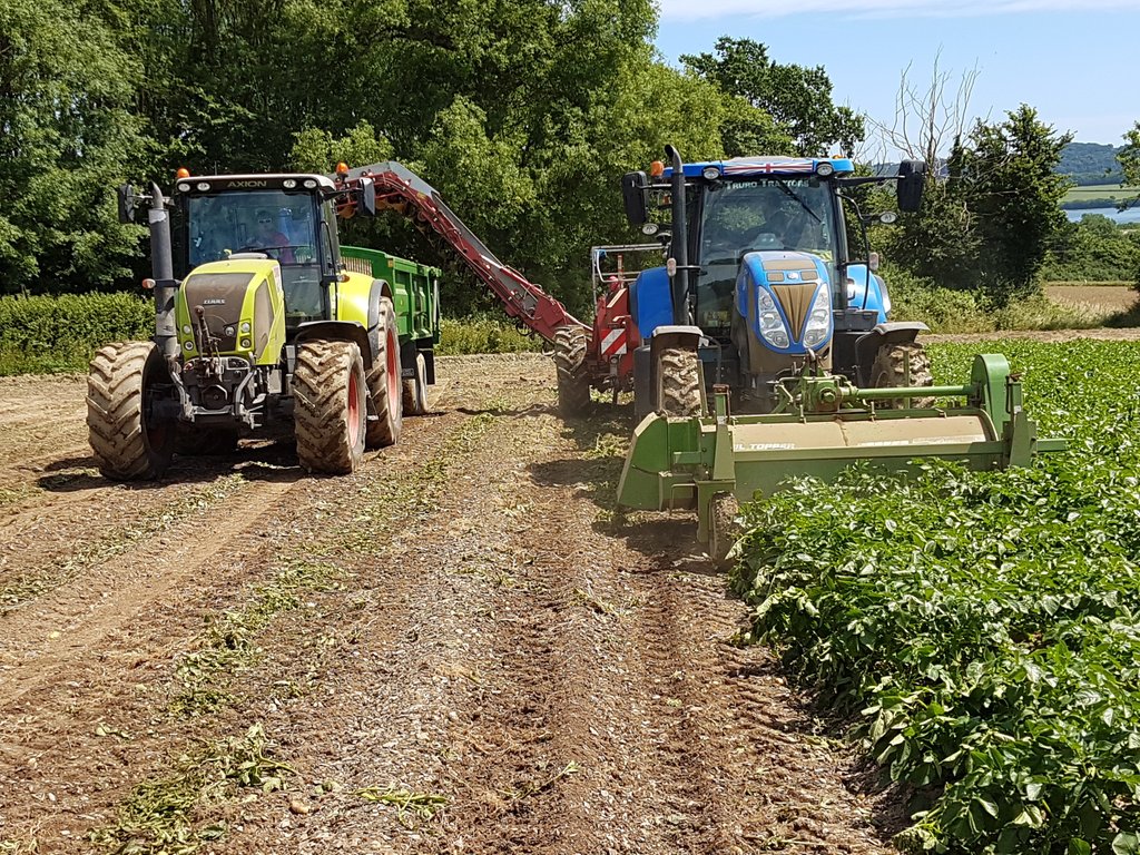 Spud lifting started at Agricola Growers <a href="/JeremyOatey/">Jeremy Oatey</a> <a href="/nick6210r/">Nick Woodman</a> @gillby1056 <a href="/lewiskitto/">lewis kitto</a>