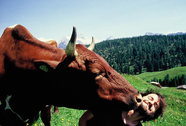 PdeFromagers's tweet photo. Un baiser vache... pour la journée internationale du baiser! https://t.co/kh9xZyPBvp