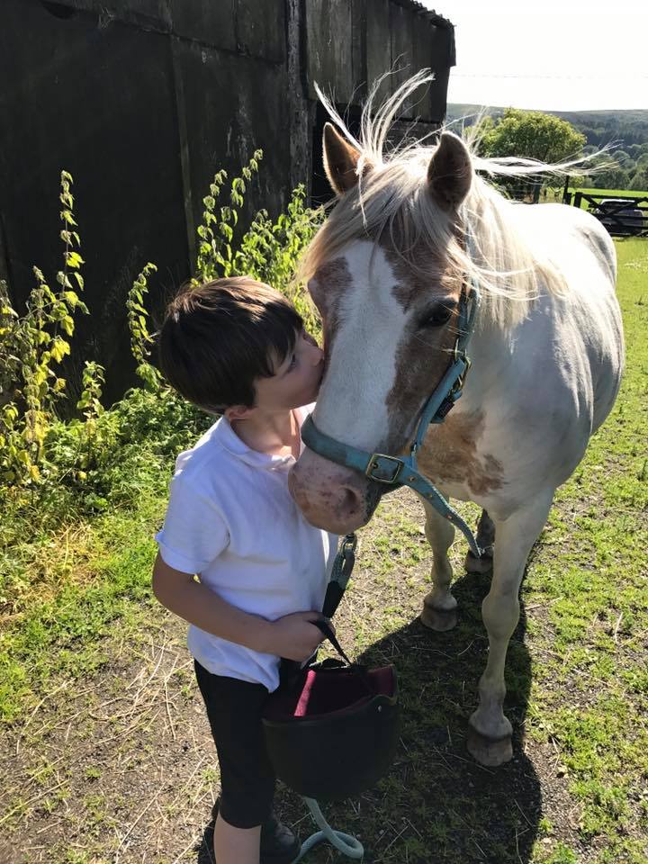 BeautifulHorse8's tweet photo. Happy Kiss Day 😘
RT and Share with Your Friends 😍 #InternationalKissingDay
#ThursdayThoughts https://t.co/mpqObTwlkW
