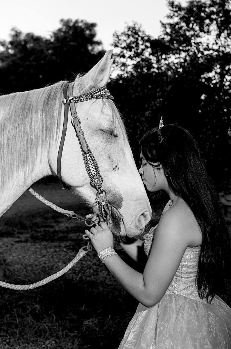 ErasmoPacheco's tweet photo. Sesión Pre 15, más fotos en mi cuenta de Instagram @erasmo.pacheco #sesionpre15 #sesionllanera #caballoymujer #erasmopacheco https://t.co/EhooVOxjTk