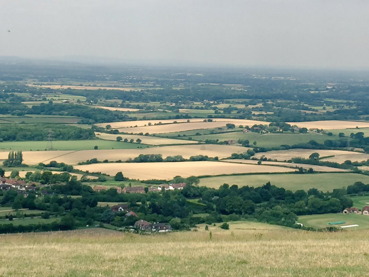 amaya_sparkle's tweet photo. I survived the lunch and the view  definitely helped ...#mylunchtimeview https://t.co/iwfqirgj1O