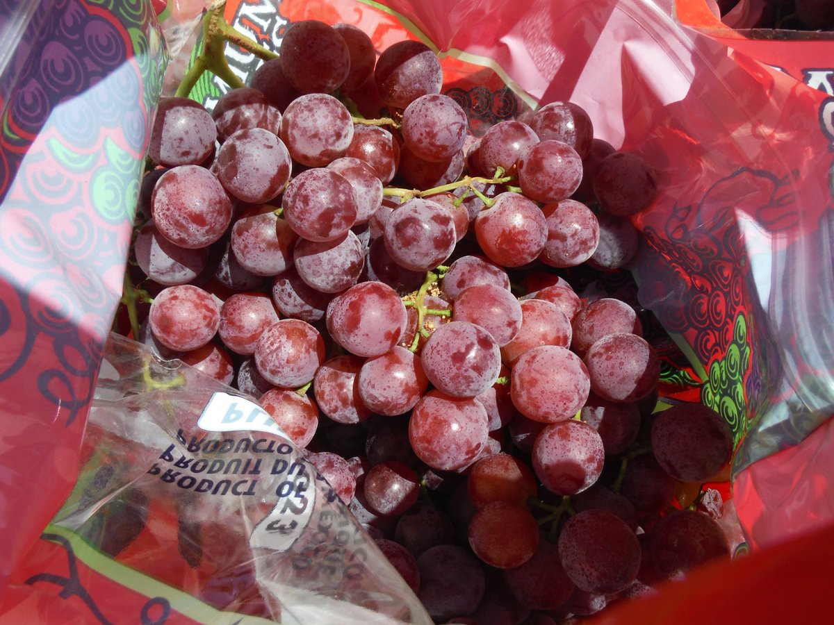 JJRanchProduce's tweet photo. We will be starting our New Crop Red Flames in Reedley, CA on Monday, July 10th! They will load from Aslan Cold Storage. https://t.co/AG5jDVPIUO