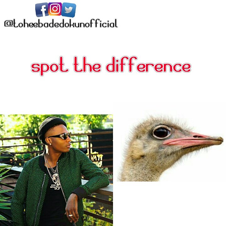 Funny_Toheeb's tweet photo. @wizkidayo see yourself, you are just arguing with your daddy #chickenface 
#teamobo @iam_Davido https://t.co/puZJUjq6jQ