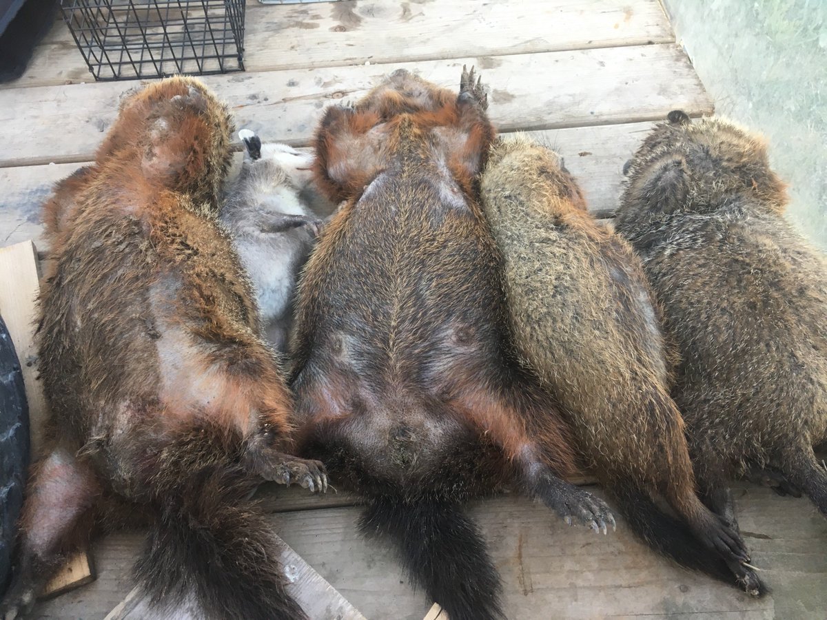 Matt Duncan tweet media