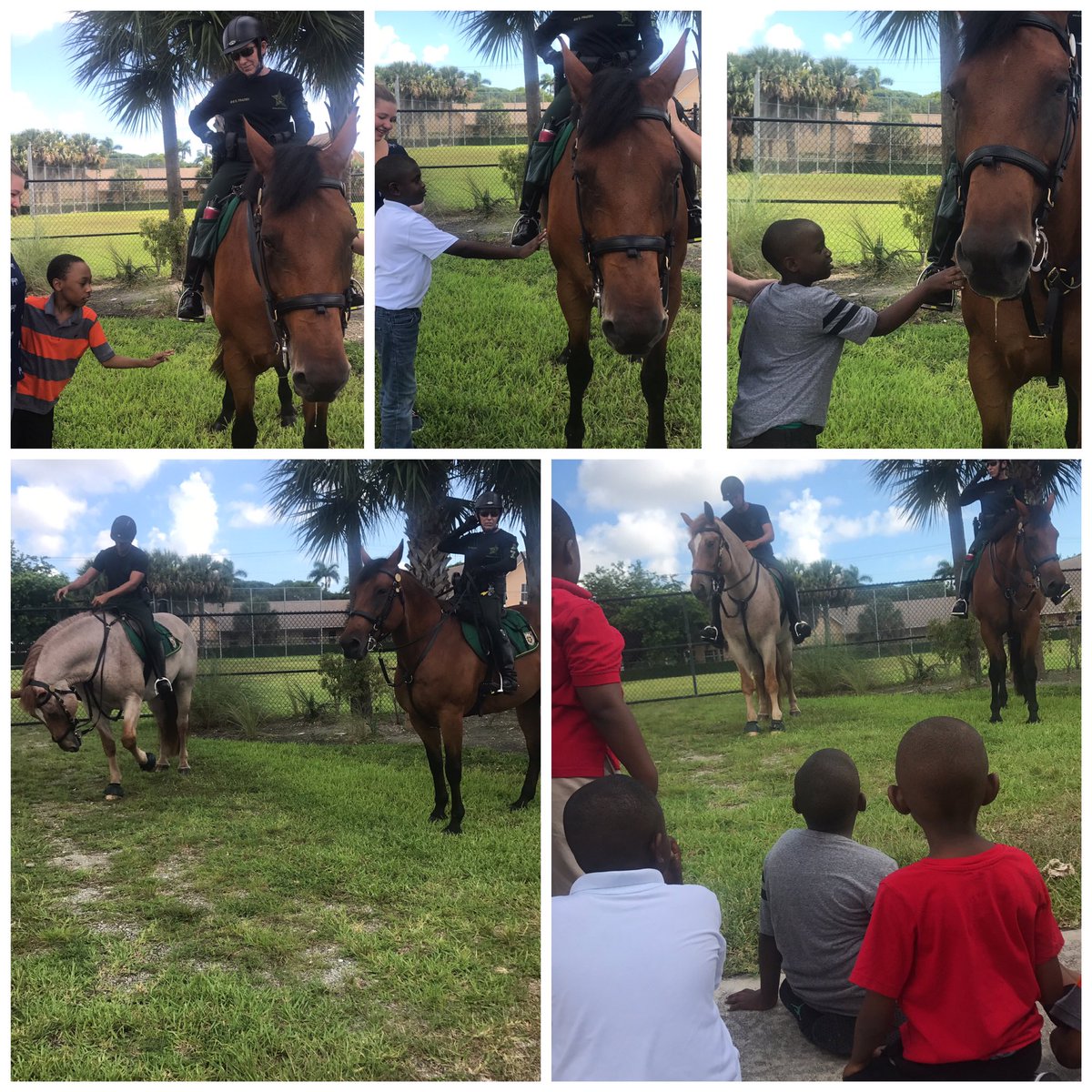 bkelley0910's tweet photo. Summer school fun #ASDproud #PBSO https://t.co/XIAuvWtqOi