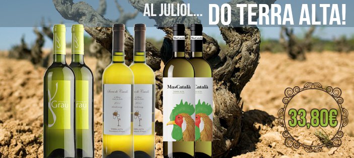 Per passar millor la calor, refresca't amb els blancs de la #DOTerraAlta vidirecte.cat/lots/802-al-ju…
#vicatala @VinyesdelGrau