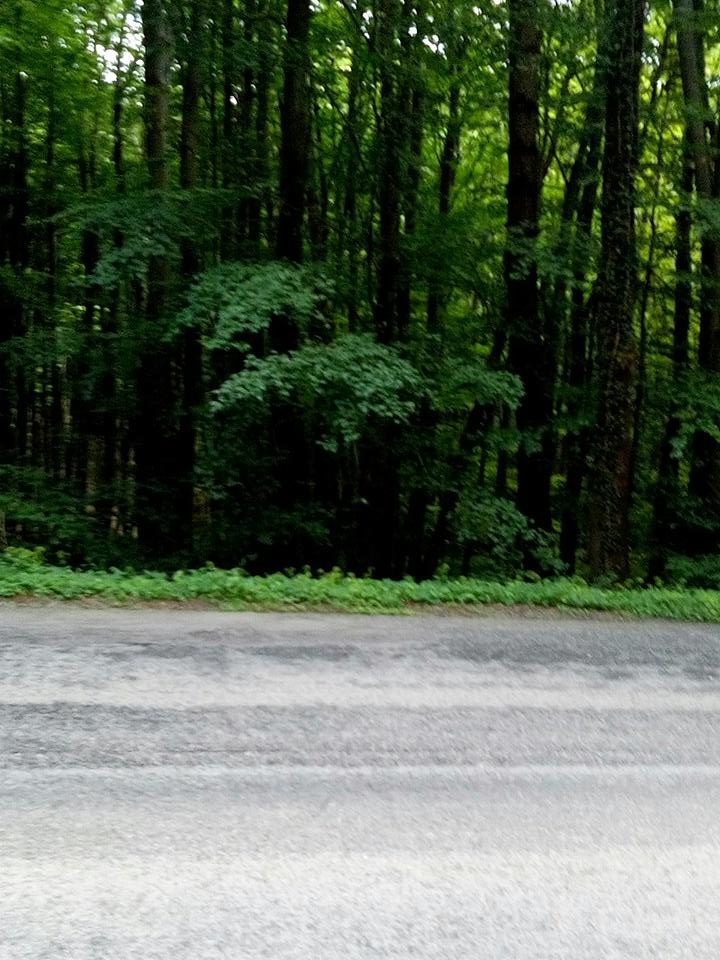 sensenmann7777's tweet photo. ich glaub ich steh im wald😉 https://t.co/3EUBflhGC8