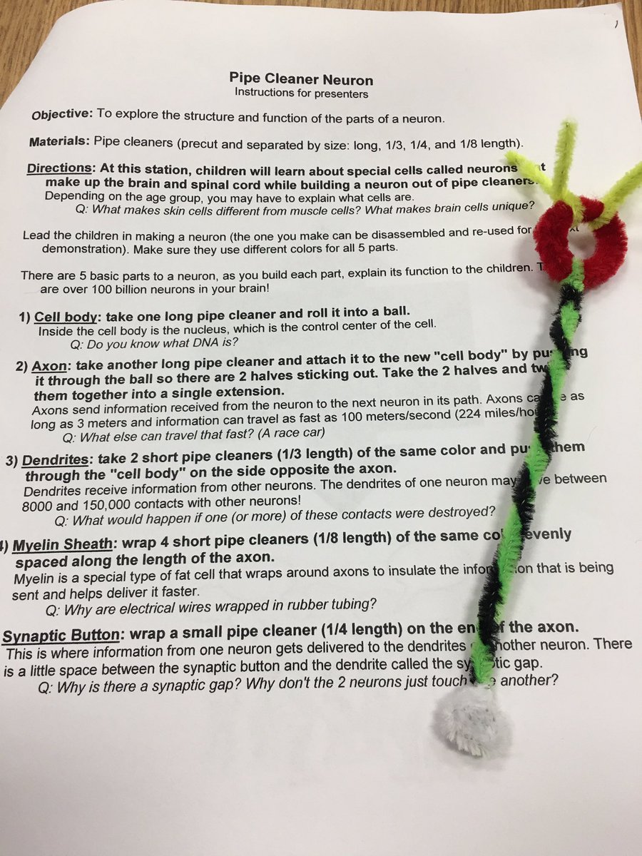 VOMcDonald's tweet photo. My Neuron- "If they learn how the brain works, they will start to work their brains." Your dendrites-Your Job! #svesummerlearning #GT6hr https://t.co/rC8HrTyqZd
