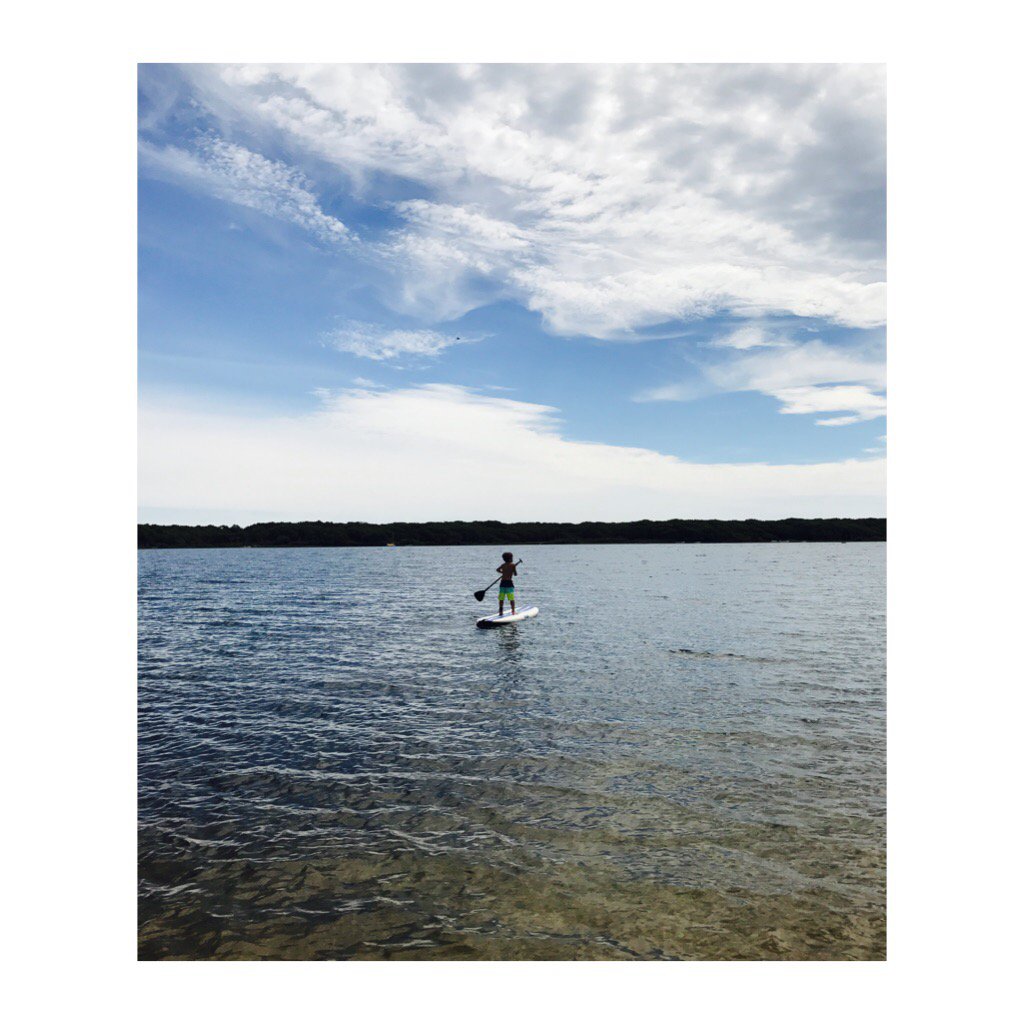 Inge Fonteyne tweet media