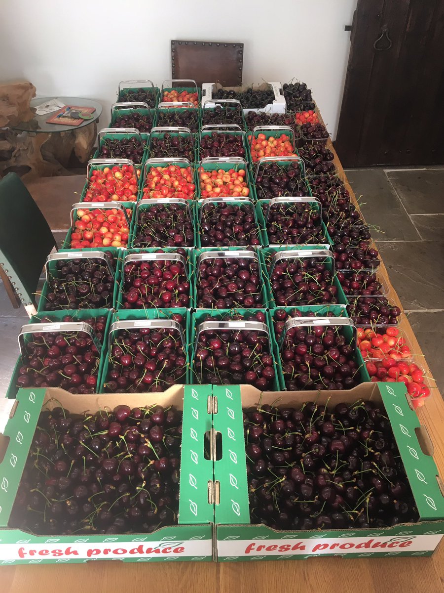 elvertonfarms's tweet photo. All ready for the 2017 National Cherry Show tomorrow at the Kent Show @kentcountyshow #cherries2017 https://t.co/xv8wDBRjI3