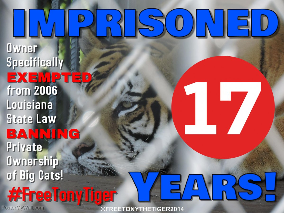 TonyTiger2000's tweet photo. @dodo ROARS TO THE @dodo for this video &amp; to @aldf &amp; ALL OF MY FRIENDS for NEVER GIVING UP ON ME! #FreeTonyTiger https://t.co/nX551XU1LO