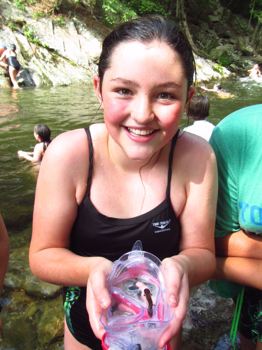 Great Smoky Mountains Institute At Tremont On Twitter Discovery Camp Ii Exploring Greatsmokynps Summercamp Tremont Gsmnp