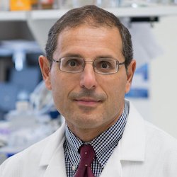 LifespaceCareer's tweet photo. RT @_McKnightsSL: Olive oil may decrease risk of #Alzheimers. https://t.co/vCFf2rVsWc @templemedschool @TheNewANA1 https://t.co/WGRdsAX9Ie
