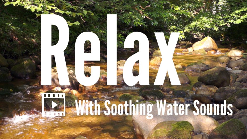 EmpireOfRelax's tweet image. goo.gl/qvYmvE --&amp;gt; Water Sound Relaxation - Flowing Water #1 #FlowingWater #ForestStream #Ireland #NatureSound
