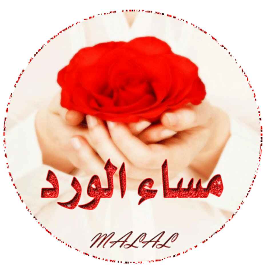 sal7552's tweet photo. مساء الخير https://t.co/ydTxDuTLfh