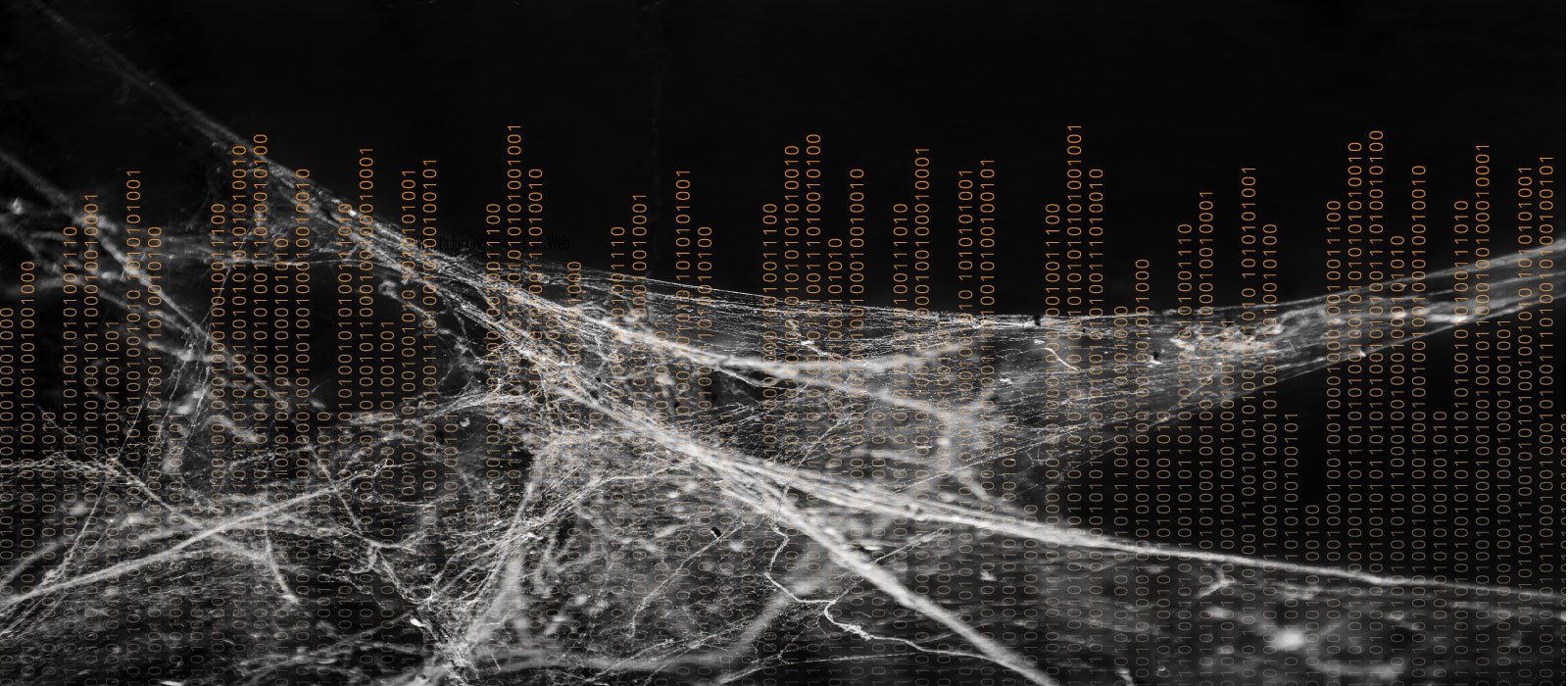 R Darknet Market