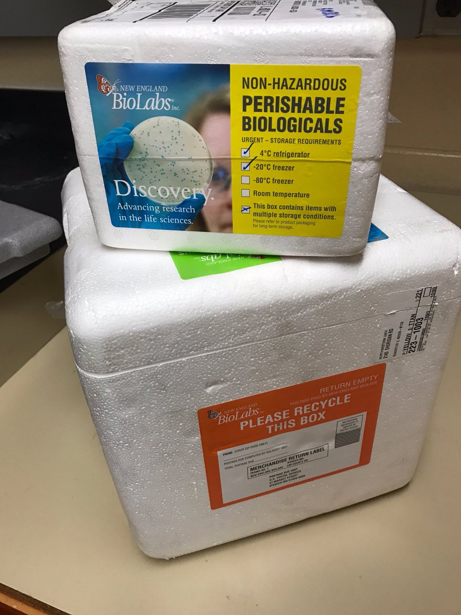 iGEM_NU's tweet photo. Thanks @NEBiolabs once again for being the hookup! https://t.co/VSZIEKjAC6