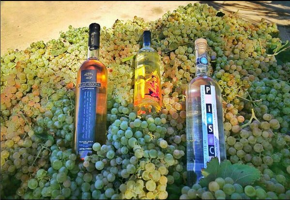 pisquera_aba's tweet photo. Para cada ocasión tenemos un pisco para ti #FuegosEnvejecido #PiscoFuegos #PiscoAba 🍸🔥✨

Escríbenos a ventas@pisquera-aba.cl https://t.co/GCjynoeqAZ