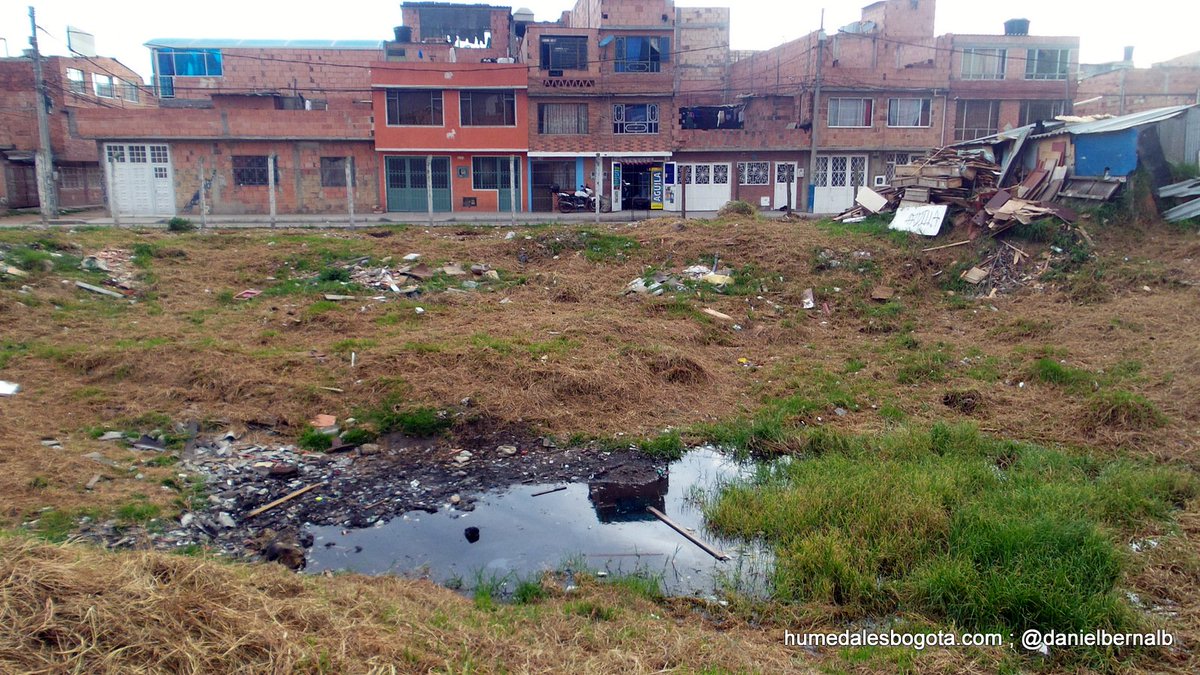 Humedales Bogotá 2017 46 DEEFVt1XgAA1ktZ