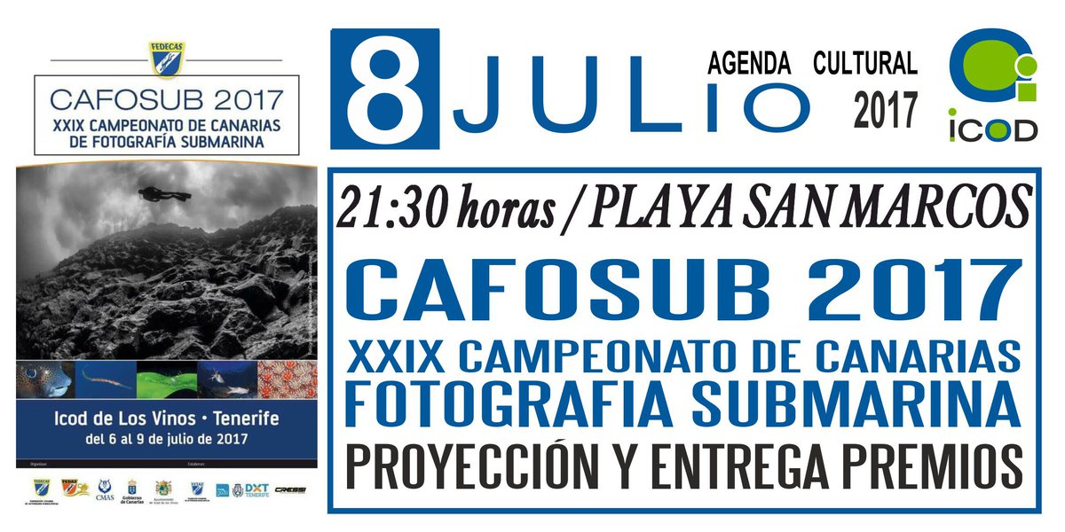 Ayto.Icod_Vinos (@aytoicodvinos) on Twitter photo 